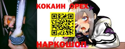 амф Донской