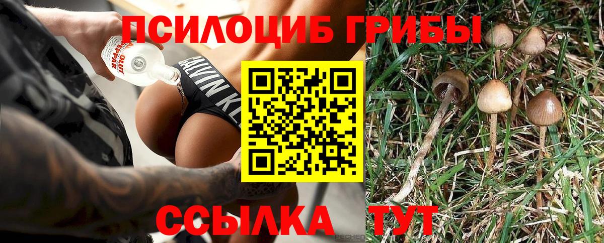 Псилоцибиновые грибы Magic Shrooms  Галлюциногенные грибы MAGIC MUSHROOMS  Луховицы  Вход с VPN 
