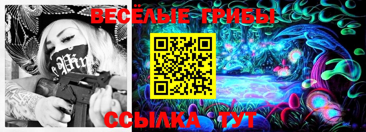 Галлюциногенные грибы Psilocybine cubensis Луховицы